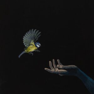 Bird in the Hand by Lucas Davey