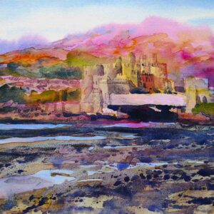 Conwy Castle by Andrew Jenkin