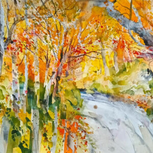 Autumn Lane, Snowdonia by Andrew Jenkin