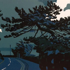 Millionaire Row (blue) by Ann Lewis PRCA