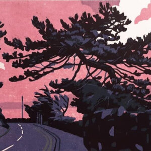 Millionaire Row (pink) by Ann Lewis PRCA
