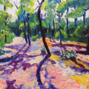 The Path to the Beach by Dermod Ruddock