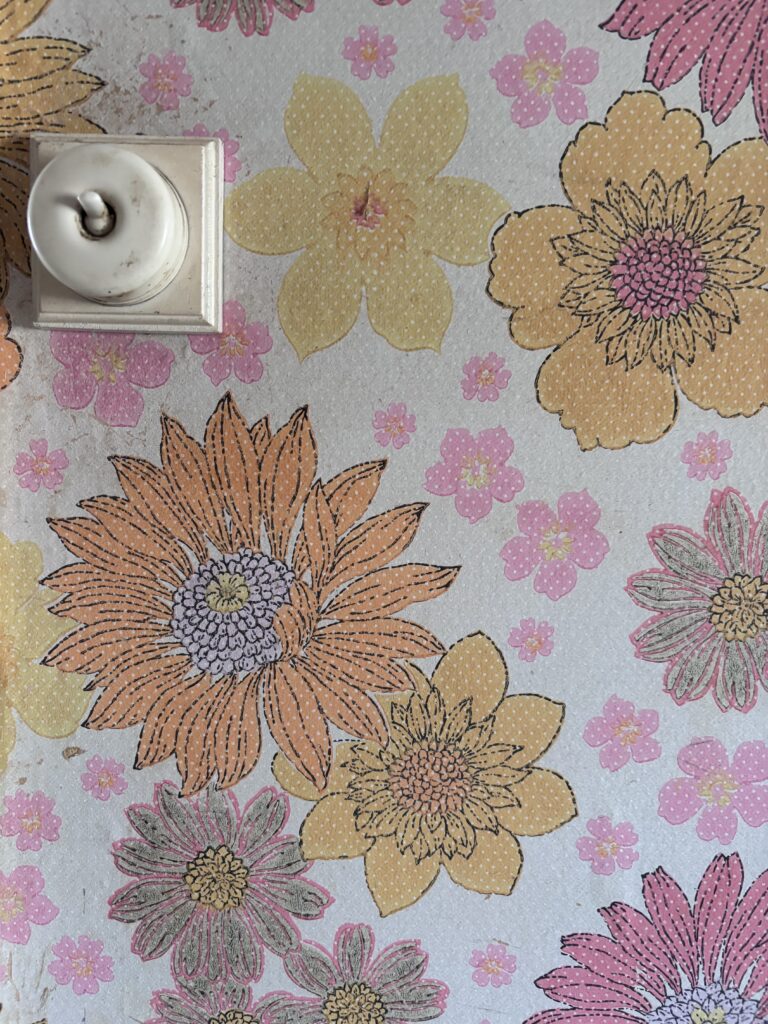 photograph of flowery wallpaper and light switch