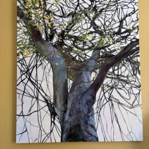 magnificent tree with multiple branches extending upwards and outwards