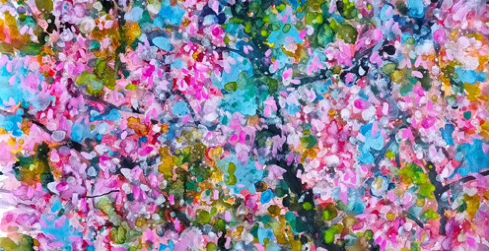 Cherry-Blossom-2-small-transfer
